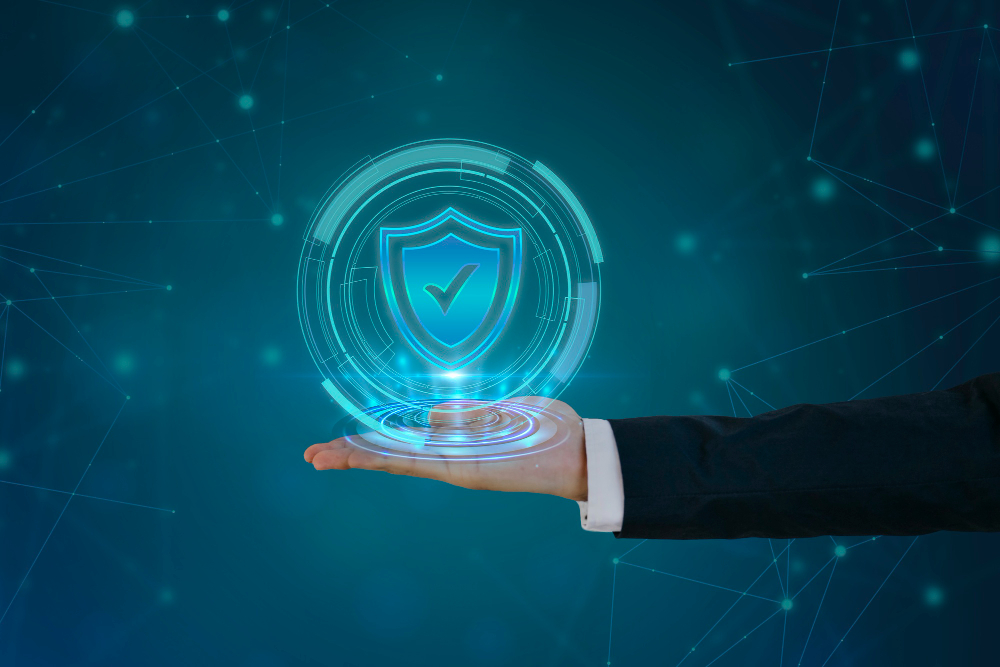 What We Offer Shield
